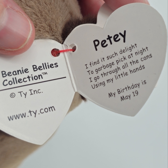 Ty Beanie Baby Bellies Petey the Raccoon Plush Stuffed Toy - Picture 4 of 6
